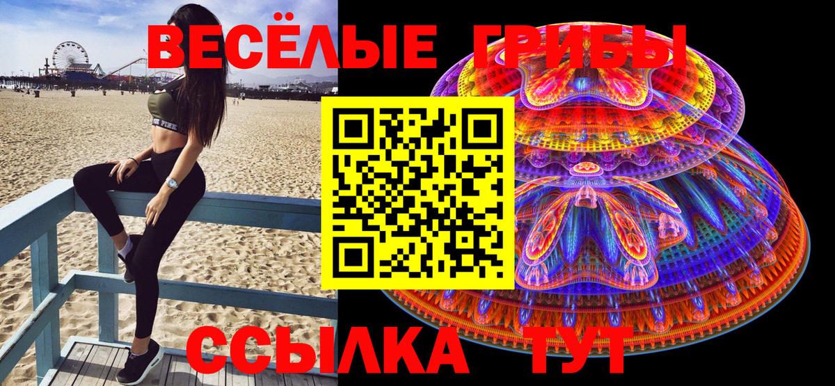 Галлюциногенные грибы Psilocybe Симферополь